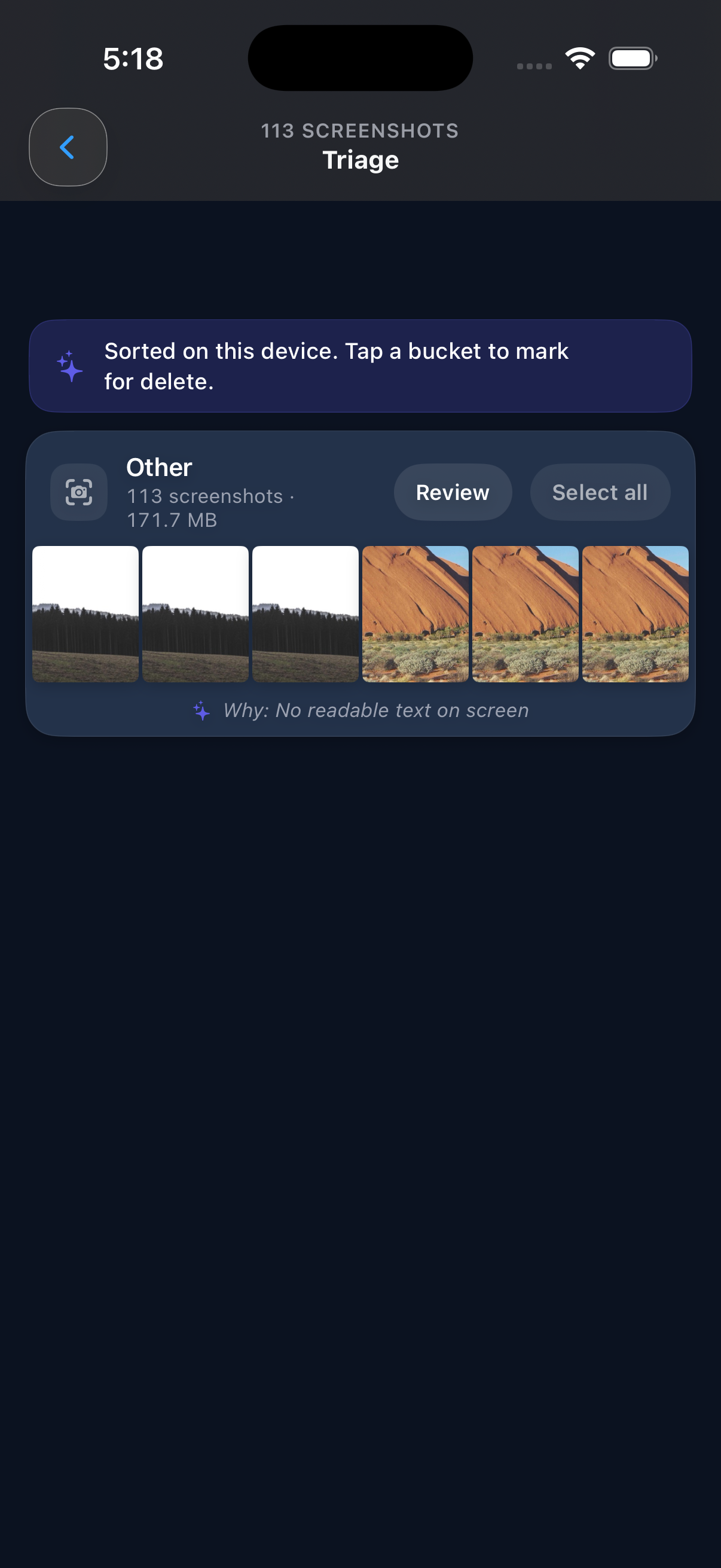 Screenshot triage view